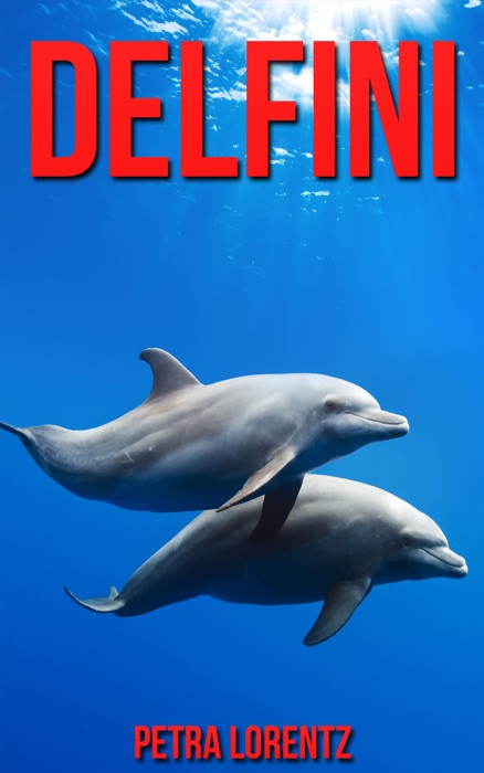 Delfini