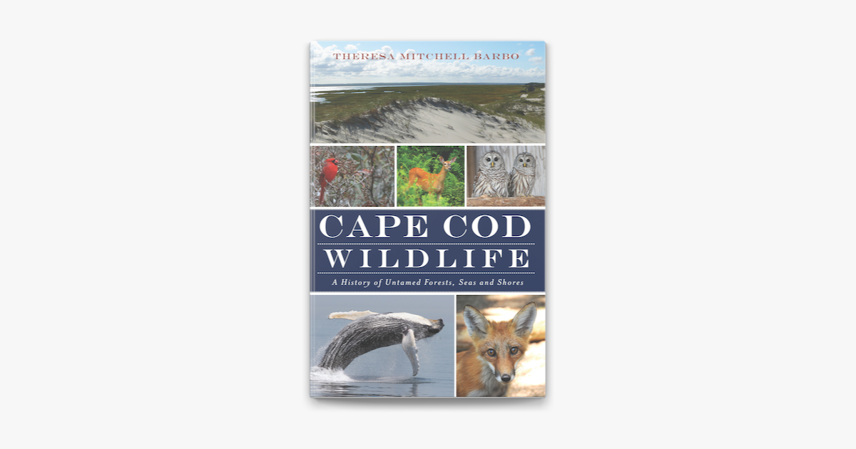 ‎Cape Cod Wildlife on Apple Books