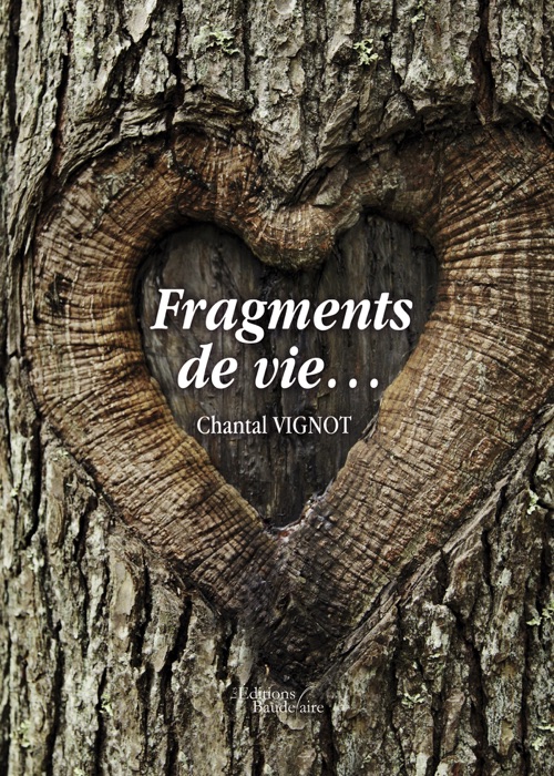 Fragments de vie…