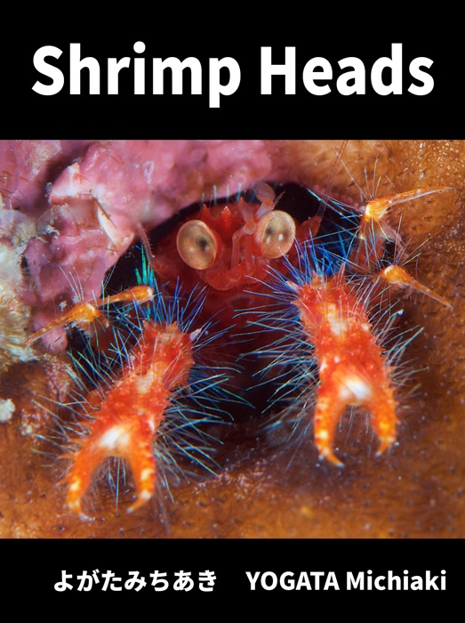 Shrimp Heads