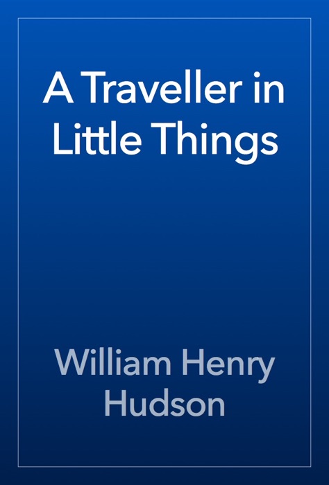 A Traveller in Little Things