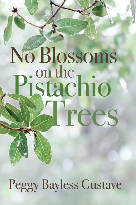 No Blossoms on the Pistachio Trees