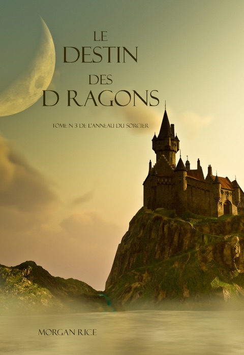 Le Destin Des Dragons  (Tome N 3 De L'anneau Du Sorcier)