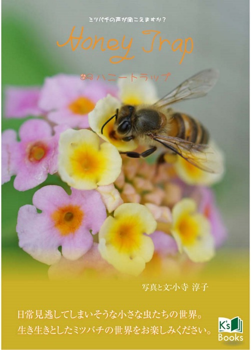 Honey Trap〜ハニートラップ〜