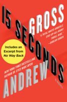 Andrew Gross - 15 Seconds artwork