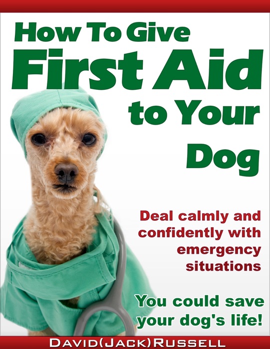 How To Give First Aid To Your Dog