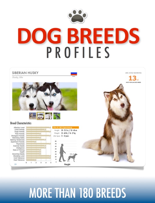 Dog Breeds Profiles