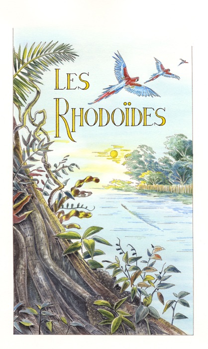 Les Rhodoides