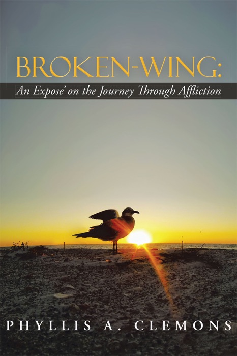 Broken-Wing: an Expose' on the Journey Through Affliction