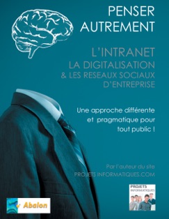 Penser autrement l'intranet, la digitalisation et les réseaux sociaux d'entreprise - Christophe Coupez