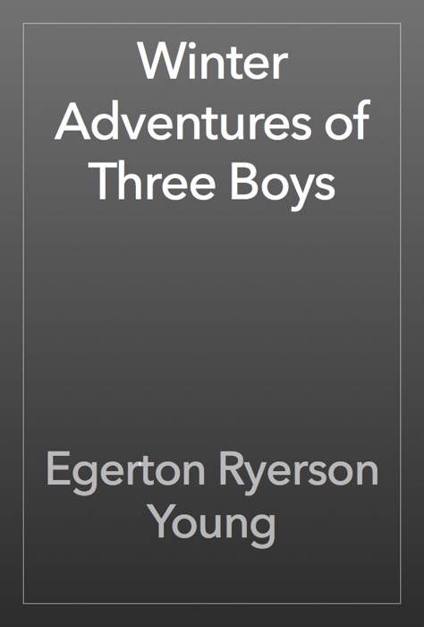 Winter Adventures of Three Boys