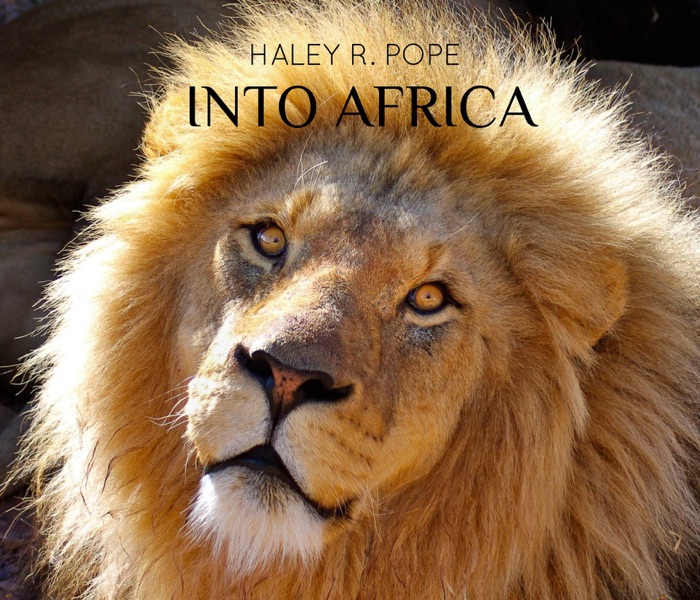 Into Africa