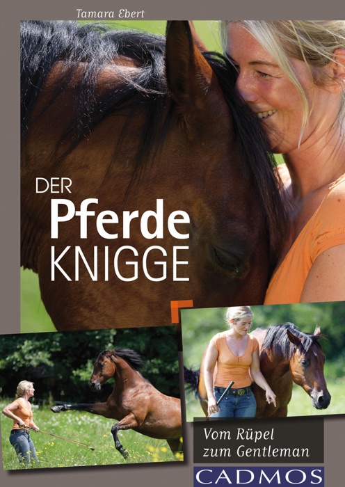 Der Pferde-Knigge