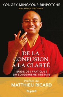 De la confusion à la clarté - Yongey Mingyour Rinpotché