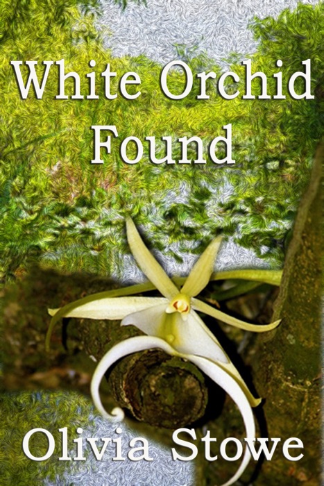 White Orchid Found (Charlotte Diamond Mysteries 6)