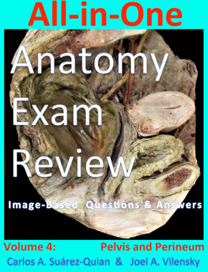 Read & Download All-in-One Anatomy Exam Review: Volume 4. Pelvis and Perineum Book by Carlos A. Suárez-Quian Online