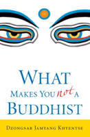 Dzongsar Jamyang Khyentse - What Makes You Not a Buddhist artwork