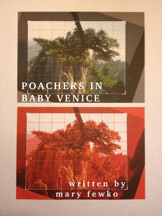 Poachers In Baby Venice