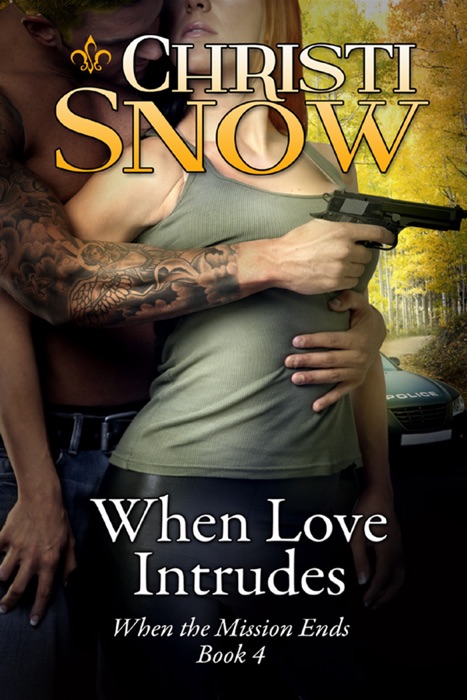 When Love Interludes - Book Four