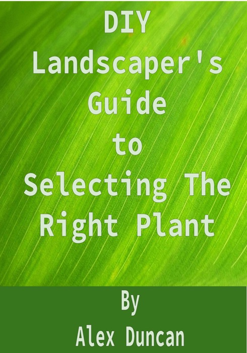 DIY Landscaper's Guide to Selecting The Right Plant