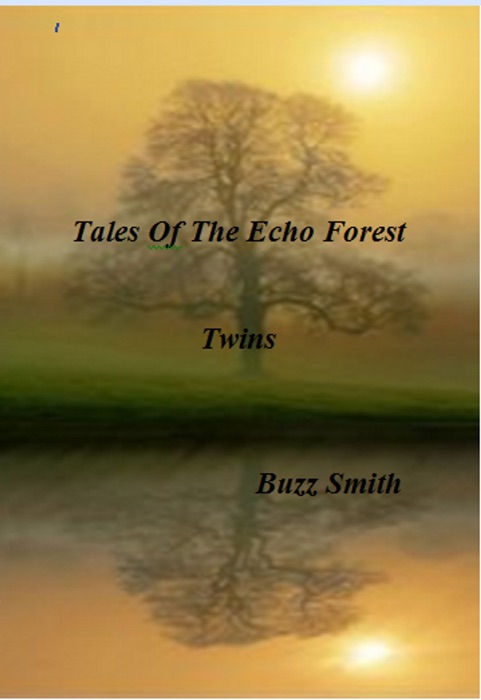 Tales Of The Echo Forest, Twins