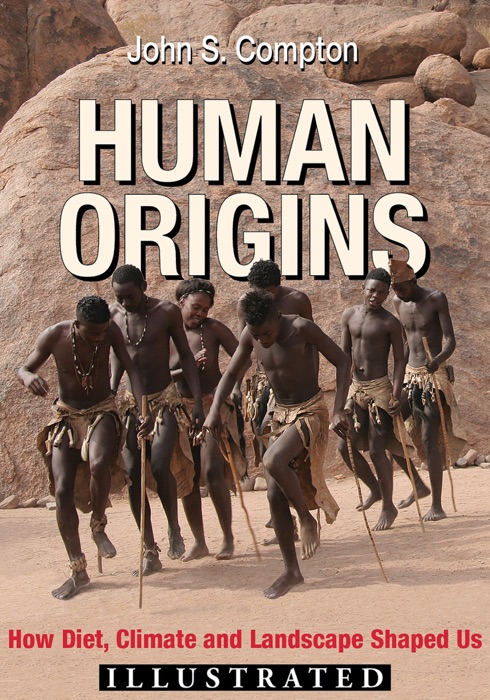 Human Origins Illustrated