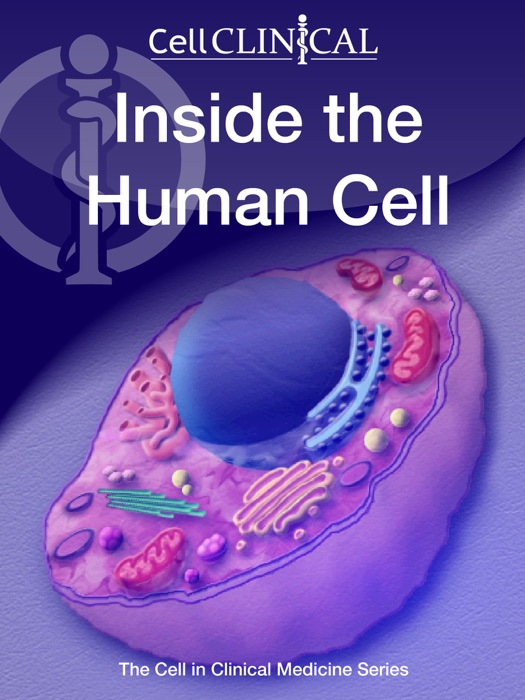 Inside the Human Cell