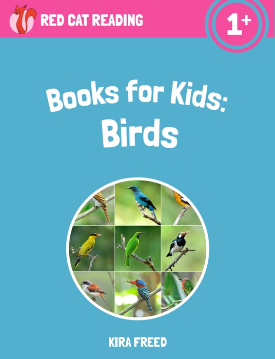 Books for Kids: Birds