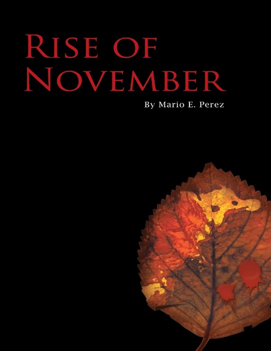 Rise of November