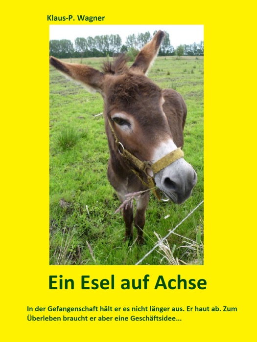 Ein Esel auf Achse