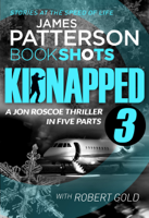 James Patterson - Kidnapped - Part 3 artwork