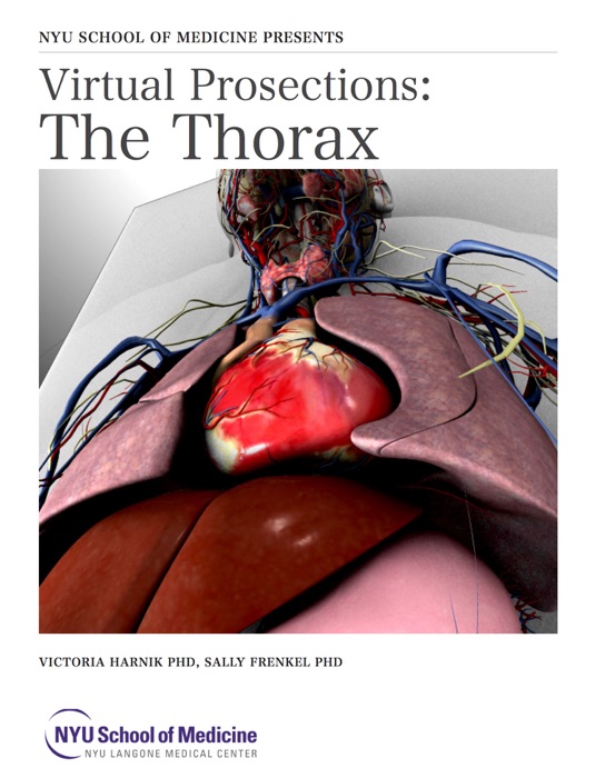 Virtual Prosections: The Thorax