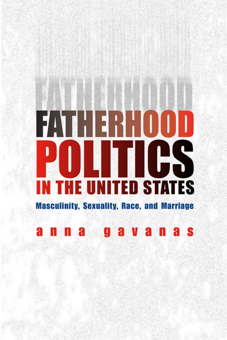 Fatherhood Politics in the United States