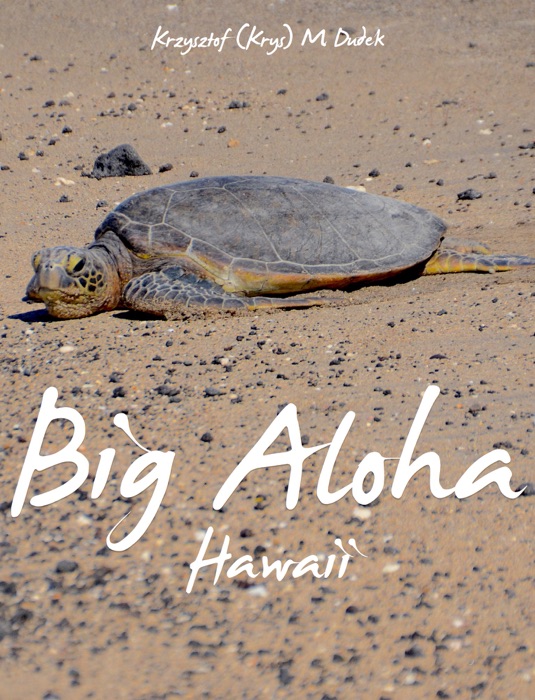 Big Aloha