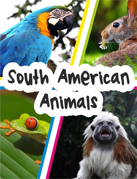 South American Animals