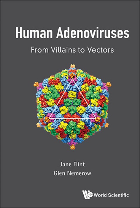 Human Adenoviruses: From Villains To Vectors