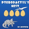 Pterodactyl's Nest