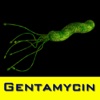 Gentamycin