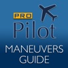 PRO Pilot Slow Flight & Stalls