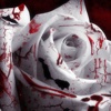 Blood Flower