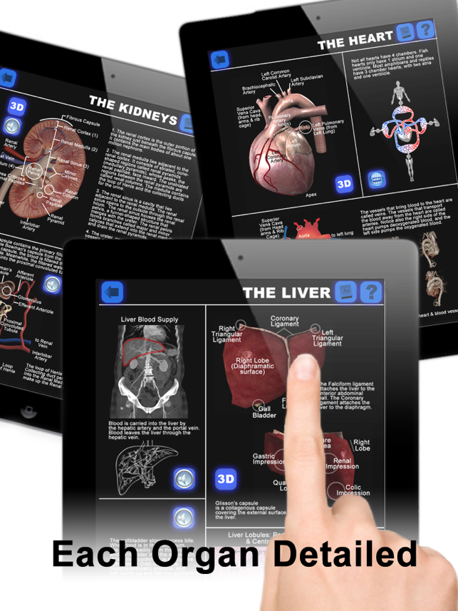 Anatomy 3D: Organs(圖2)-速報App