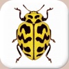 Entomology Dictionary