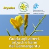 100 piante del Gennargentu ( Sardegna ): guida agli alberi, arbusti e liane