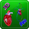 3D Human Heart & Blood Circulation HD