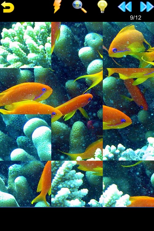 Ocean Puzzle (Worldwide)