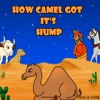 How Camel Got It's Hump Free