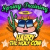 Harry the Holy Cow - Spring Training