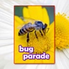 Bug Parade