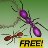 Ant Squish Free
