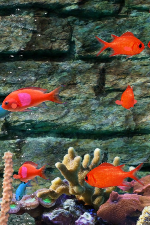 MyReef 3D Aquarium screenshot-3